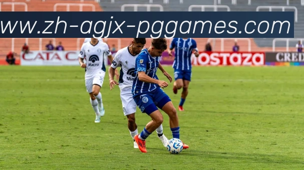 App Interface Preview